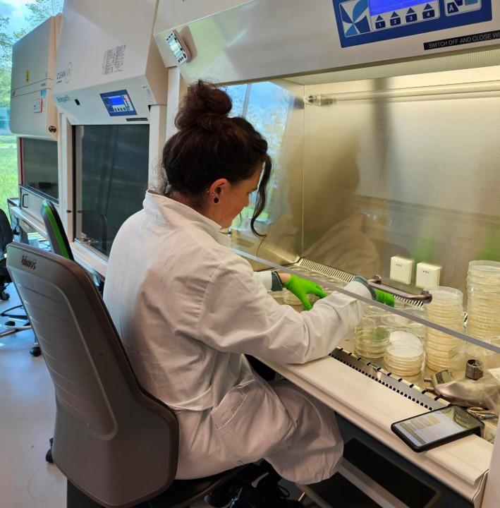 Call for Applications – ISME Scholar Mobility Fund